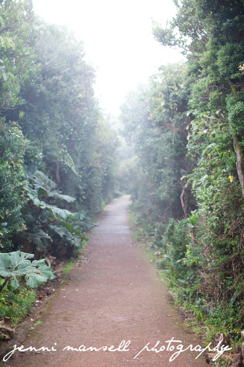 The walk up to the volcano which was sadly covered by clouds the whole time we were up there.  :)