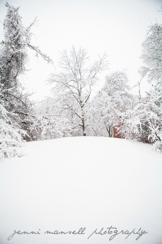 A hill!  Hard to come by here in Indy.