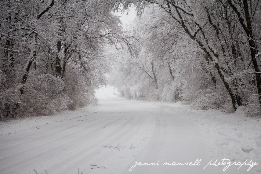 A tree canopy- going closer to the river.