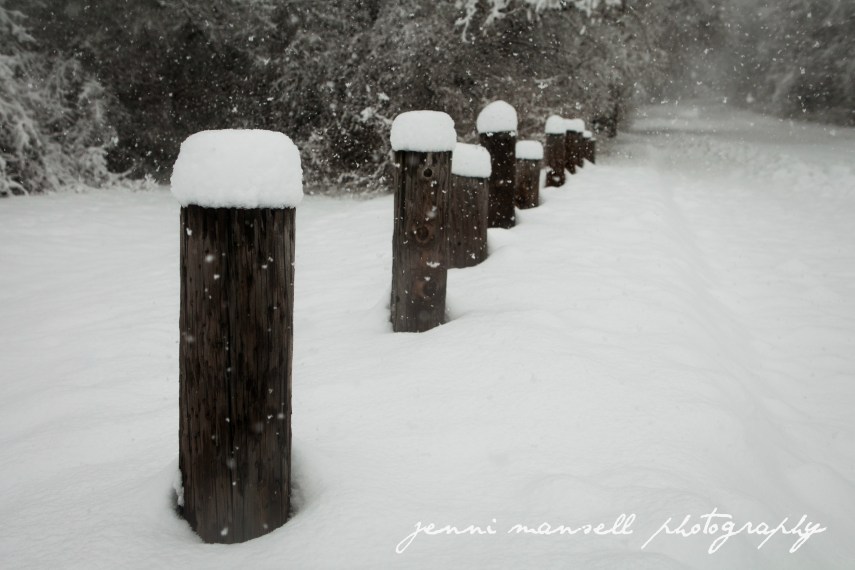 The trek back to my place