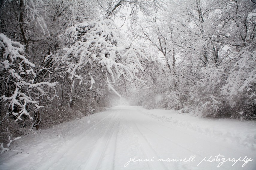 I was drenched with snow by this point.