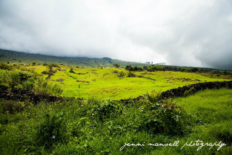 Exploring Thompson Rd. farmlands up in the hills.