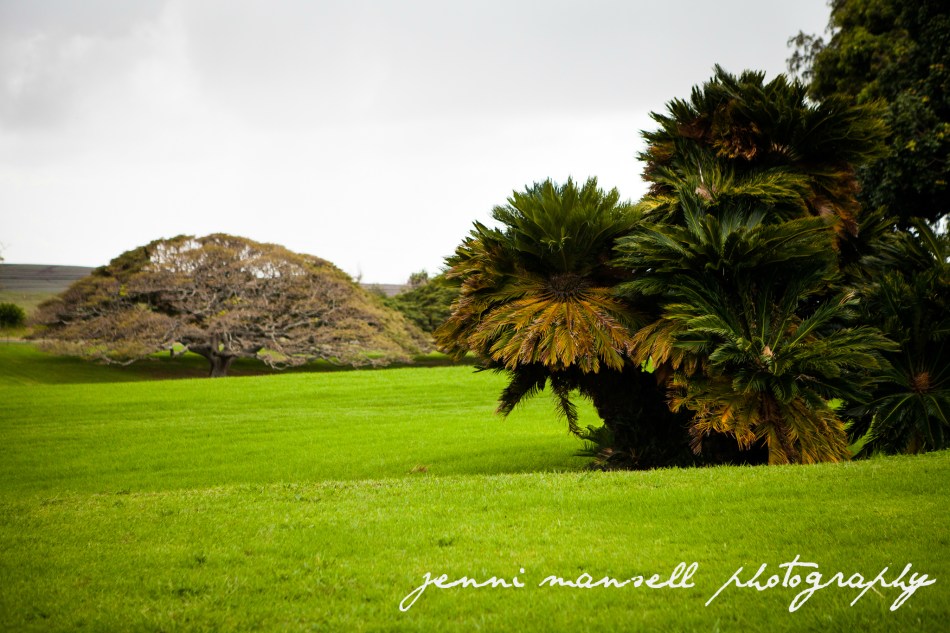 Outside the Hui Noeau Visual Arts Center, Makawao