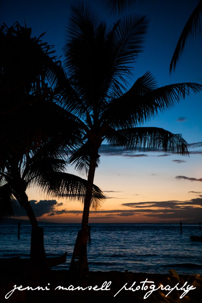 There's just something about palm trees and a sunset.  Felt like I was in a postcard.  :)