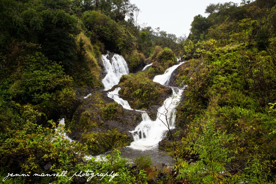 Just a random waterfall seen on the side of the road during our drive.  I almost got tired of them!