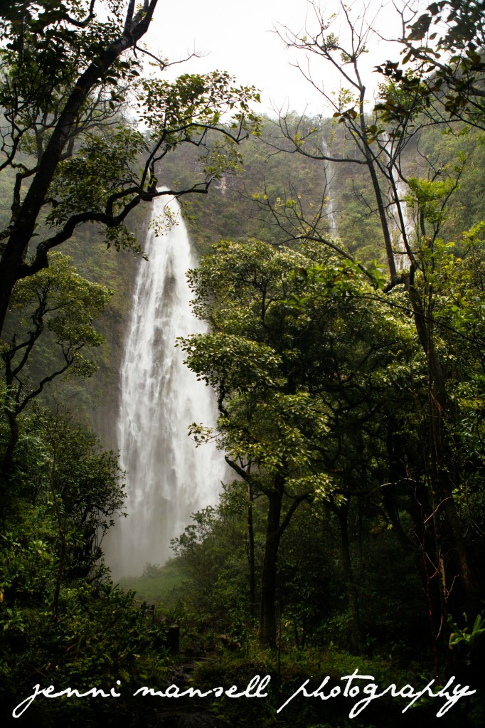 After a two mile hike in the pounding rain, this was our reward- Waimoku Falls.