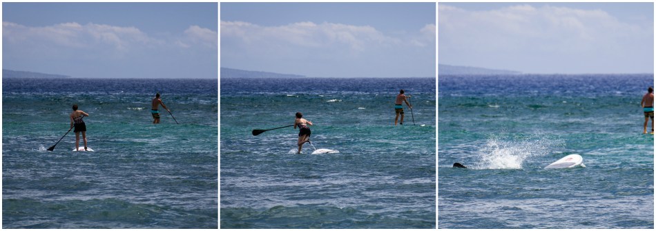 ... and then this happened.