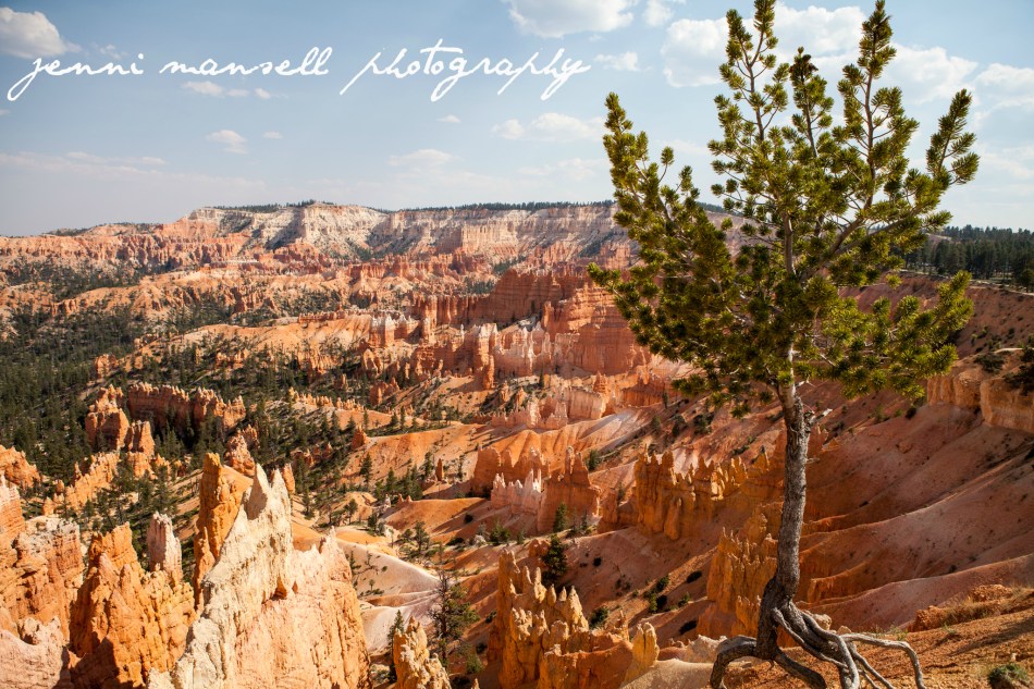 We took our time exploring Utah on the cross-country road trip.  Here is a shot of Bryce Canyon.  More to come soon of Arches, Capitol Reef, Bryce, and Zion National Parks.