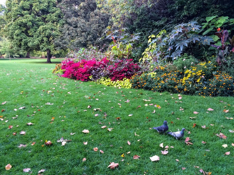 Had a really pretty walk along St. James's Park before I took the Underground back to my sister's place.